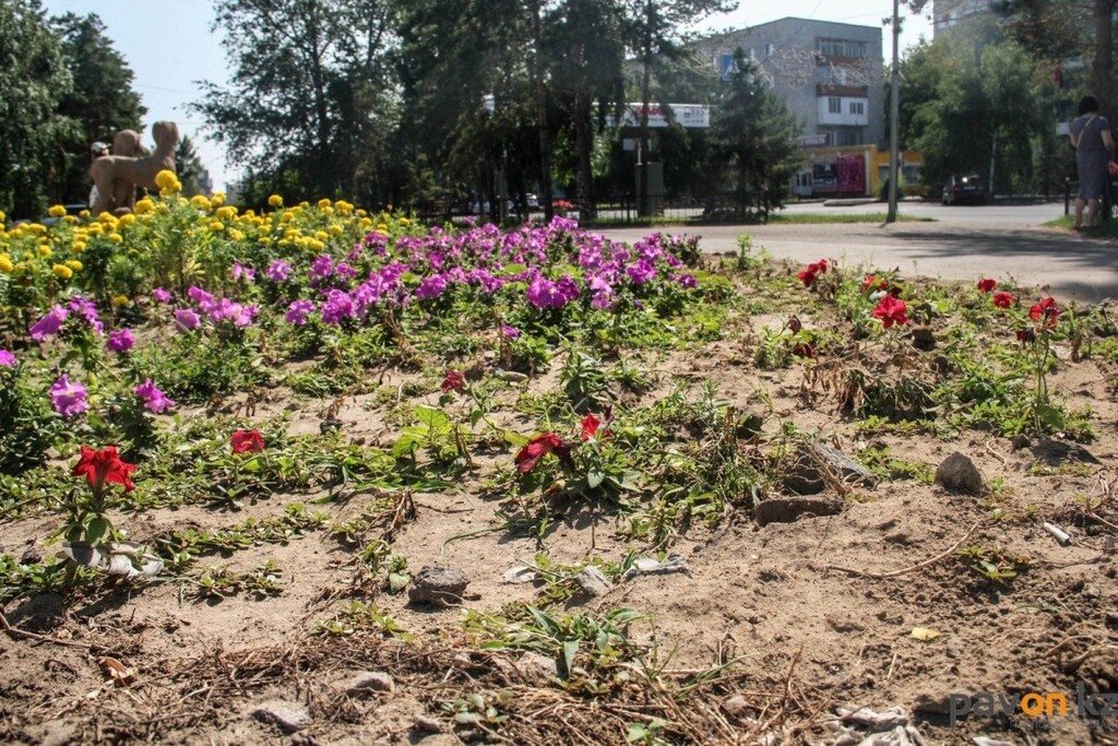 47b67b29cf6e953d6843c66fcd33710ccb290219