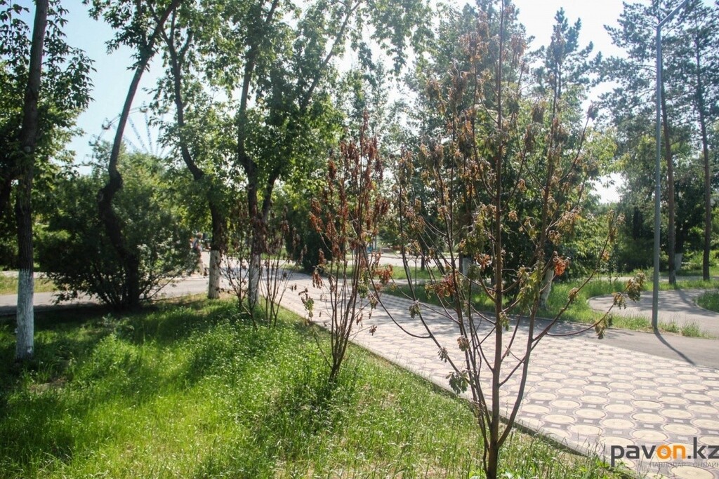 f4d0663d781f3a786d64f602d7e1db62f48830bc